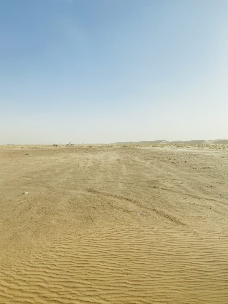 IMG 0036 1