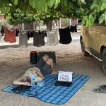 a marcel lying on a blanket under a tree with a laptop